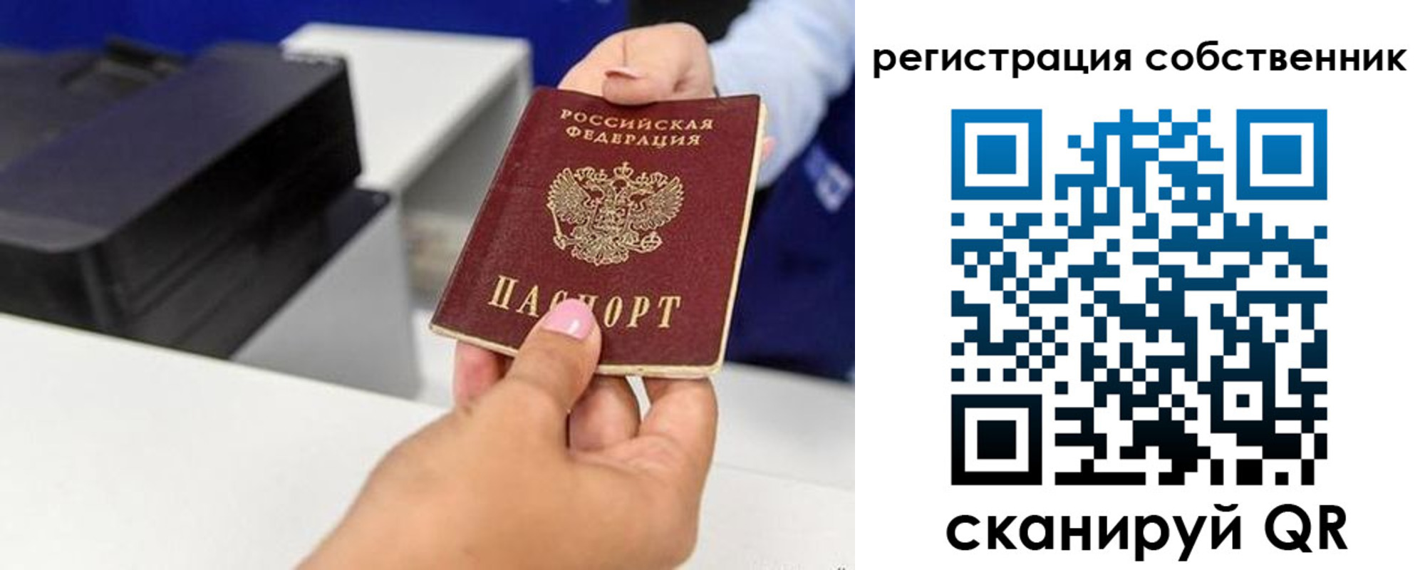 прописка для школы в Ельне